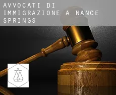 Avvocati di immigrazione a  Nance Springs