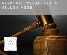 Avvocato penalista a  Willow Wood