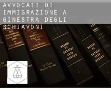Avvocati di immigrazione a Ginestra degli Schiavoni