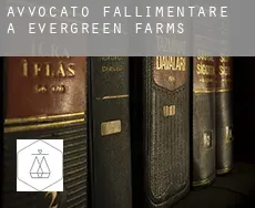 Avvocato fallimentare a  Evergreen Farms