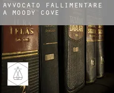 Avvocato fallimentare a Moody Cove