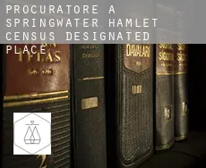 Procuratore a  Springwater Hamlet
