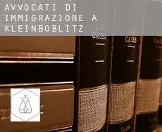 Avvocati di immigrazione a  Kleinboblitz