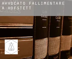 Avvocato fallimentare a  Hofstett