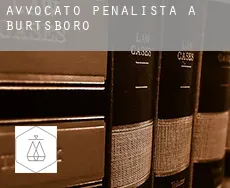 Avvocato penalista a  Burtsboro