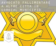 Avvocato fallimentare a  Altre città in Corozal Municipio