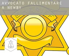 Avvocato fallimentare a  Newby