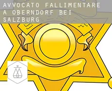 Avvocato fallimentare a Oberndorf bei Salzburg