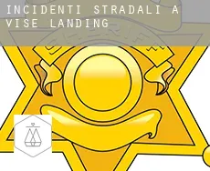 Incidenti stradali a  Vise Landing