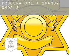 Procuratore a  Brandy Shoals