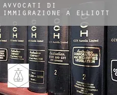 Avvocati di immigrazione a  Elliott