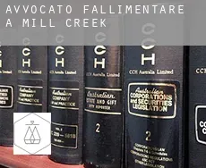 Avvocato fallimentare a  Mill Creek