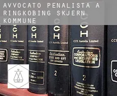 Avvocato penalista a Ringkøbing-Skjern Kommune
