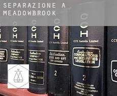Separazione a  Meadowbrook
