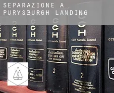Separazione a  Purysburgh Landing