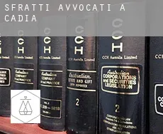 Sfratti avvocati a  Cadia