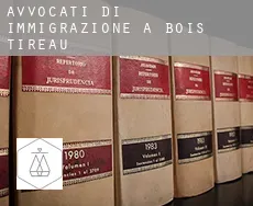 Avvocati di immigrazione a  Bois-Tireau