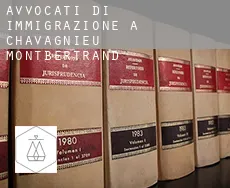 Avvocati di immigrazione a  Chavagnieu-Montbertrand