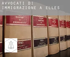 Avvocati di immigrazione a  Elles