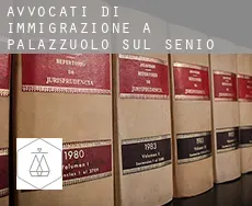 Avvocati di immigrazione a Palazzuolo sul Senio