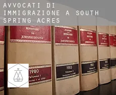 Avvocati di immigrazione a  South Spring Acres