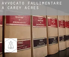 Avvocato fallimentare a  Carey Acres