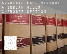 Avvocato fallimentare a  Indian Hills Cherokee Section