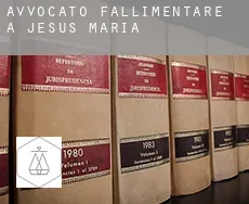 Avvocato fallimentare a Jesús María