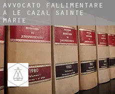Avvocato fallimentare a  Le Cazal-Sainte-Marie