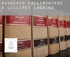 Avvocato fallimentare a  Lilliput Landing