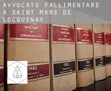 Avvocato fallimentare a Saint-Mars-de-Locquenay
