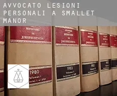Avvocato lesioni personali a  Smallet Manor