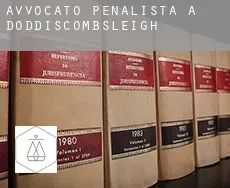 Avvocato penalista a  Doddiscombsleigh