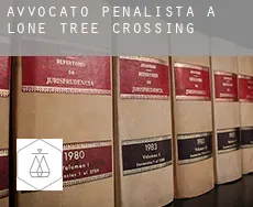 Avvocato penalista a  Lone Tree Crossing