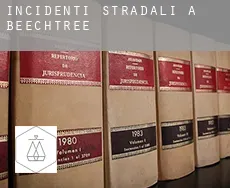 Incidenti stradali a Beechtree