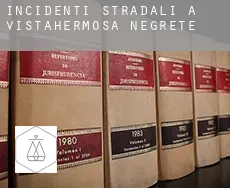 Incidenti stradali a  Vistahermosa de Negrete
