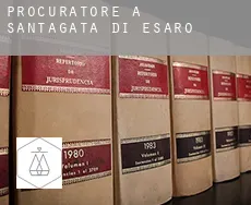 Procuratore a  Sant'Agata di Esaro