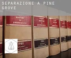 Separazione a  Pine Grove