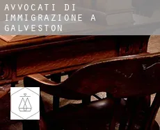 Avvocati di immigrazione a  Galveston