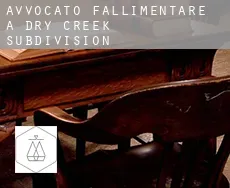 Avvocato fallimentare a  Dry Creek Subdivision