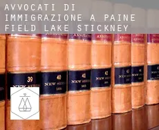 Avvocati di immigrazione a Paine Field-Lake Stickney