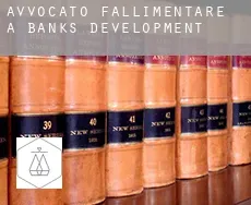 Avvocato fallimentare a  Banks Development
