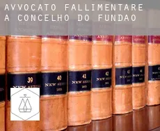 Avvocato fallimentare a  Fundão