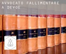 Avvocato fallimentare a  Devoe