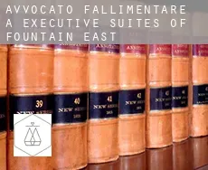 Avvocato fallimentare a  Executive Suites of Fountain East