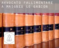 Avvocato fallimentare a  Maigneu-le-Gabion