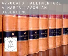 Avvocato fallimentare a  Maria Laach am Jauerling