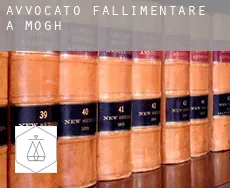 Avvocato fallimentare a  Mogh