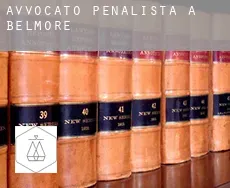 Avvocato penalista a  Belmore