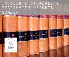 Incidenti stradali a  Meadowview Heights Number 4